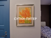 1-комнатная квартира посуточно Санкт-Петербург, Невский пр. , 63: Фотография 22
