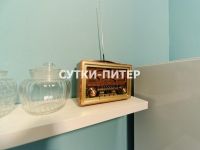2-комнатная квартира посуточно Санкт-Петербург, Полозова, 22: Фотография 24