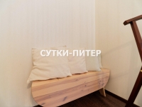 2-комнатная квартира посуточно Санкт-Петербург, Дегтярный пер. , 8-10: Фотография 24