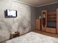 1-комнатная квартира посуточно Мытищи, Борисовка, 8: Фотография 3