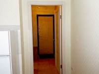 1-комнатная квартира посуточно Самара, Аэродромная , 55: Фотография 4