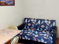 1-комнатная квартира посуточно Саратов, Шелковичная, 151: Фотография 15