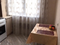 1-комнатная квартира посуточно Санкт-Петербург, Светлановский проспект , 44к2: Фотография 3