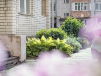 1-комнатная квартира посуточно Вологда, Советский проспект, 68: Фотография 24
