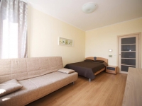 1-комнатная квартира посуточно Барнаул, Пионеров, 1: Фотография 2