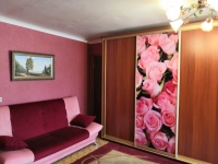 2-комнатная квартира посуточно Дзержинск, Чапаева, 39: Фотография 2