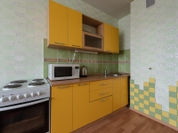 1-комнатная квартира посуточно Екатеринбург, Красный переулок, 5к1: Фотография 6
