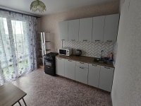 1-комнатная квартира посуточно Воронеж, Беговая , 219/1: Фотография 3