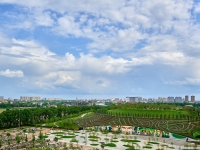 1-комнатная квартира посуточно Краснодар, Героя Владислава Посадского, 22: Фотография 6