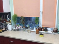 Коттедж посуточно Севастополь, Ст Успех, 37: Фотография 3