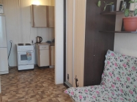 1-комнатная квартира посуточно Томск, Рабочая 1-я, 8: Фотография 3