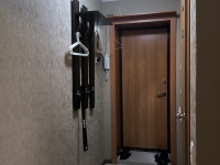 1-комнатная квартира посуточно Казань, Толстого , 18: Фотография 9