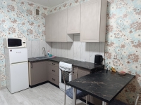 1-комнатная квартира посуточно Воронеж, Краснознаменная, 57/2: Фотография 5