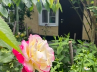 1-комнатная квартира посуточно Ессентуки, улица Гоголя, 19Б: Фотография 10