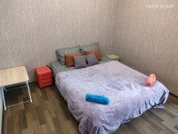 1-комнатная квартира посуточно Ростов-на-Дону, Пешкова , 55: Фотография 4