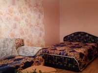 1-комнатная квартира посуточно Воронеж, Плехановская , 20: Фотография 4