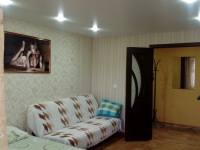1-комнатная квартира посуточно Дзержинск, Петрищева, 14: Фотография 3